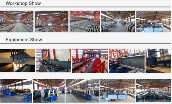 Qingdao Xinguangzheng Husbandry Co.,  Ltd ligne de production en usine