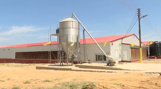Ferme d'acier Maison d'animaux à pente unique Élevage de bétail sur mesure