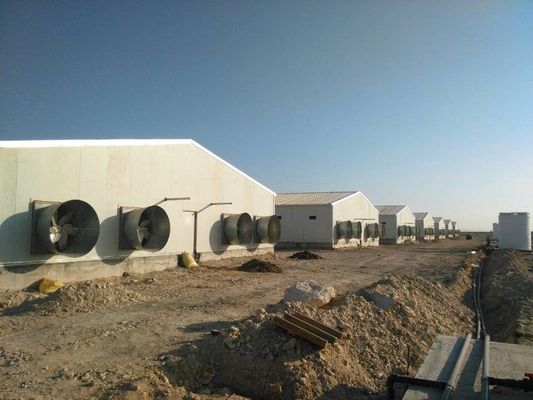Ferme d'acier Maison d'animaux à pente unique Élevage de bétail sur mesure