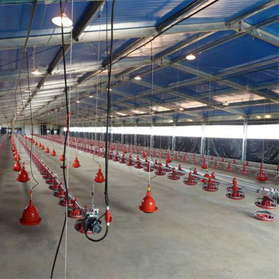 Système de plancher de poulets de chair OEM 380V Système de plancher de poulets de chair pour toute la maison