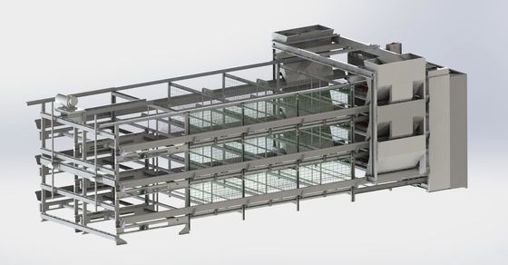 Couche d'œufs en acier de la cage de poulet OEM