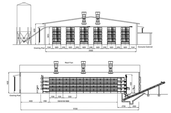 Système ISO de cage de poulet pour poulets de chair Cage de poulet personnalisée pour l'élevage de volailles
