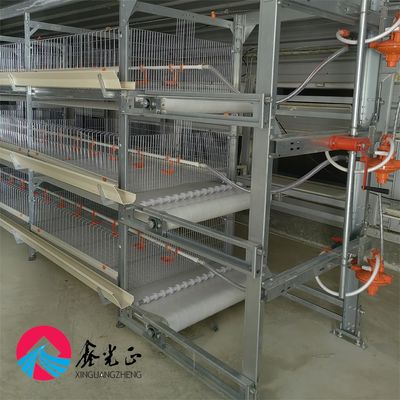 Structure en acier préfabriquée élevage poulaillerie