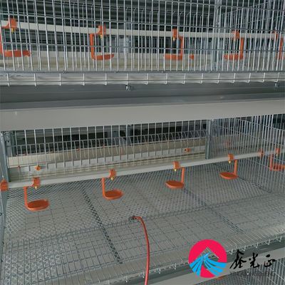 Maison de poule isolée par EPS avec fenêtres en alliage d'aluminium