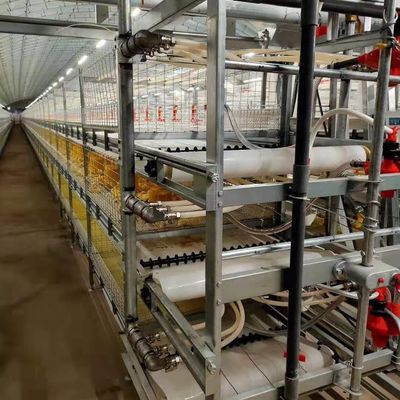 Structure en acier de l'élevage industriel Maison d'exploitation agricole Utilisation du panneau coloré