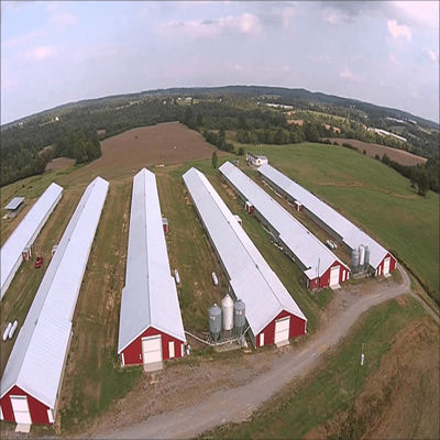 SGS Ferme de bétail maison préfabriquée cadre automatique en acier poulailler