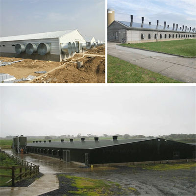 SGS Ferme de bétail maison préfabriquée cadre automatique en acier poulailler