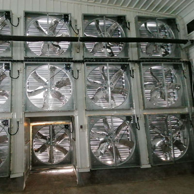 Structure en acier de maison de volaille standard OEM avec fenêtres coulissantes