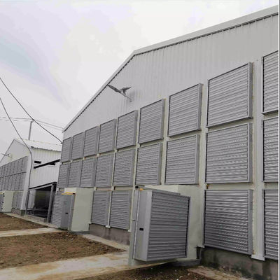 Structure en acier de maison de volaille standard OEM avec fenêtres coulissantes