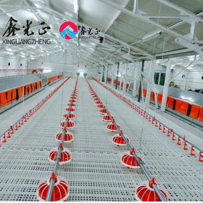 Chambre de ferme de bétail préfabriquée section H Isolation en PVC en acier