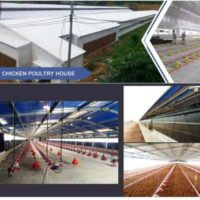 Maison d'élevage préfabriquée en acier à section H avec isolation PVC