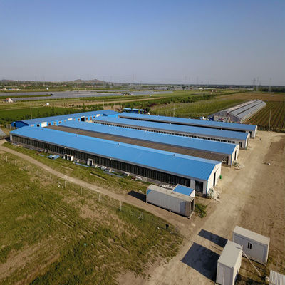 CE Maison de ferme d'élevage Structure en acier Maison de poulet et équipement pour poulet