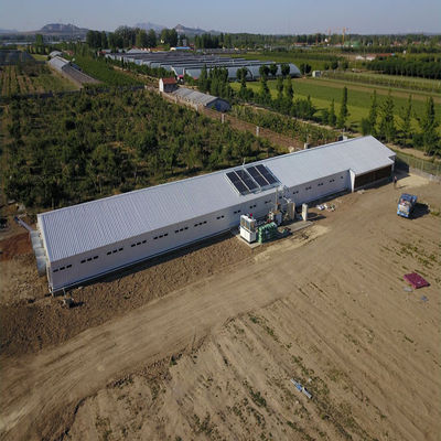 Élevage de volailles maison de poulet bâtiment de structure en acier préfabriqué léger