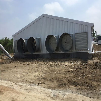 Élevage de volailles maison de poulet bâtiment de structure en acier préfabriqué léger