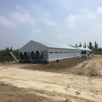 Élevage de volailles maison de poulet bâtiment de structure en acier préfabriqué léger