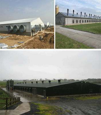 CE Maison de ferme d'élevage Structure en acier Maison de poulet et équipement pour poulet