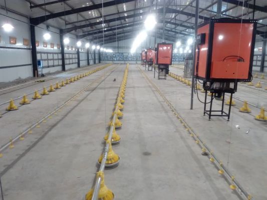 H section acier poulailler commercial Structure préfabriquée en acier