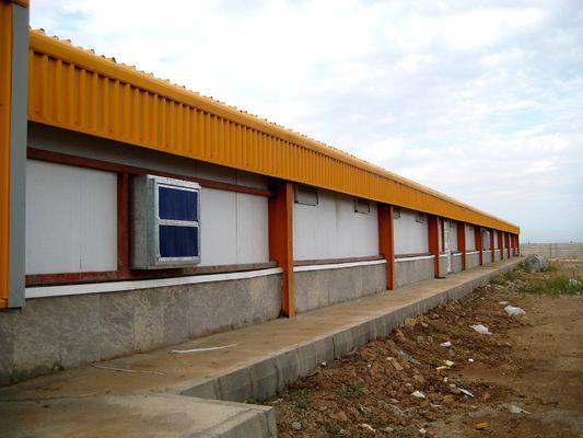 H section acier poulailler commercial Structure préfabriquée en acier