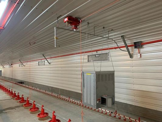 H section acier poulailler commercial Structure préfabriquée en acier