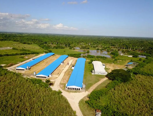 ISO Maison de ferme d'élevage Structure en acier préfabriquée Maison de ferme de volaille