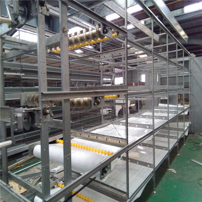 H Système d'alimentation automatique des poulets de chair pour élevages avancés