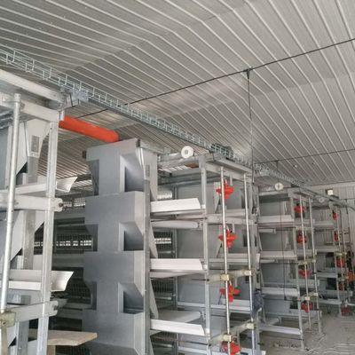 Système de cage de poulet de poulets de grande portée 230M*56M pour le pays d'origine