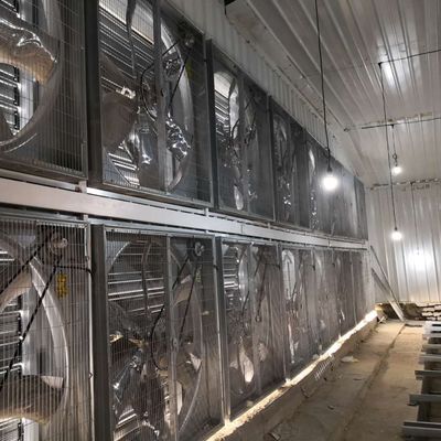 Système de cage de poulet de poulets de grande portée 230M*56M pour le pays d'origine