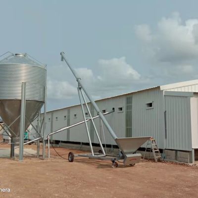 Système automatique d'alimentation des poulets de chair La solution idéale pour les élevages avicoles