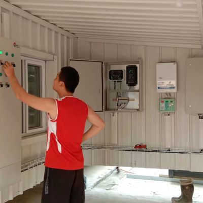 Système automatique d'alimentation des poulets de chair La solution idéale pour les élevages avicoles