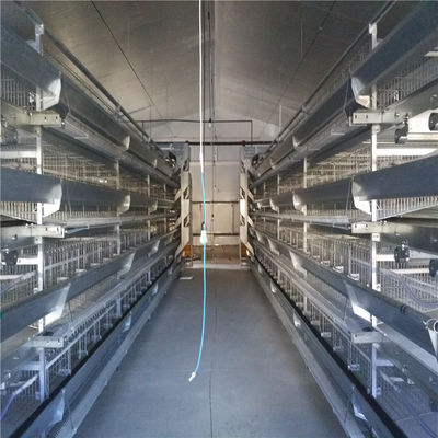 Système d'alimentation automatique pour poulets de chair de design élégant et moderne avec pulvérisation électrostatique
