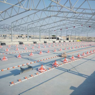 Élevage de volailles en plastique pour des performances optimales dans l'élevage de volailles