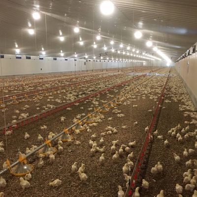 Système de plancher de viande et de poulet durable avec résistance à la corrosion / matière plastique