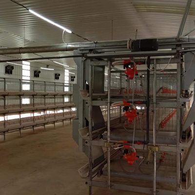 1950*350*380mm Cage de ponte pour volaille pour élevage de volailles