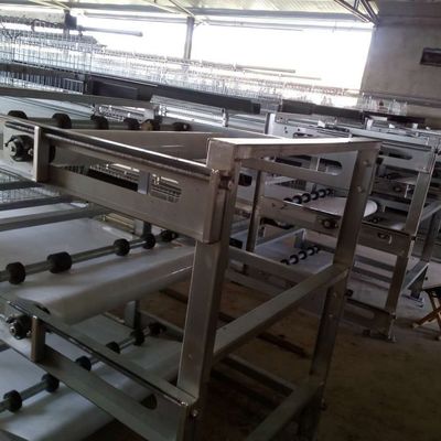 Cage de poulet galvanisée à 3 niveaux avec alimentation automatique