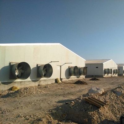 Chambre de volaille préfabriquée avec panneaux isolants