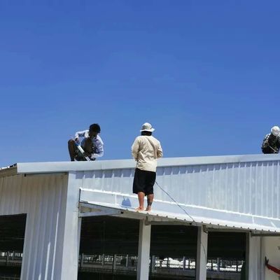 Construction en acier de volaille résistant aux intempéries