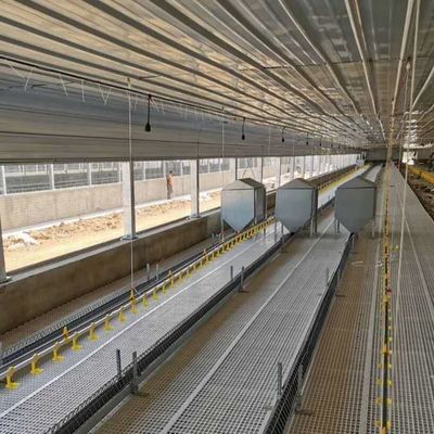 Construction en acier de volaille résistant aux intempéries