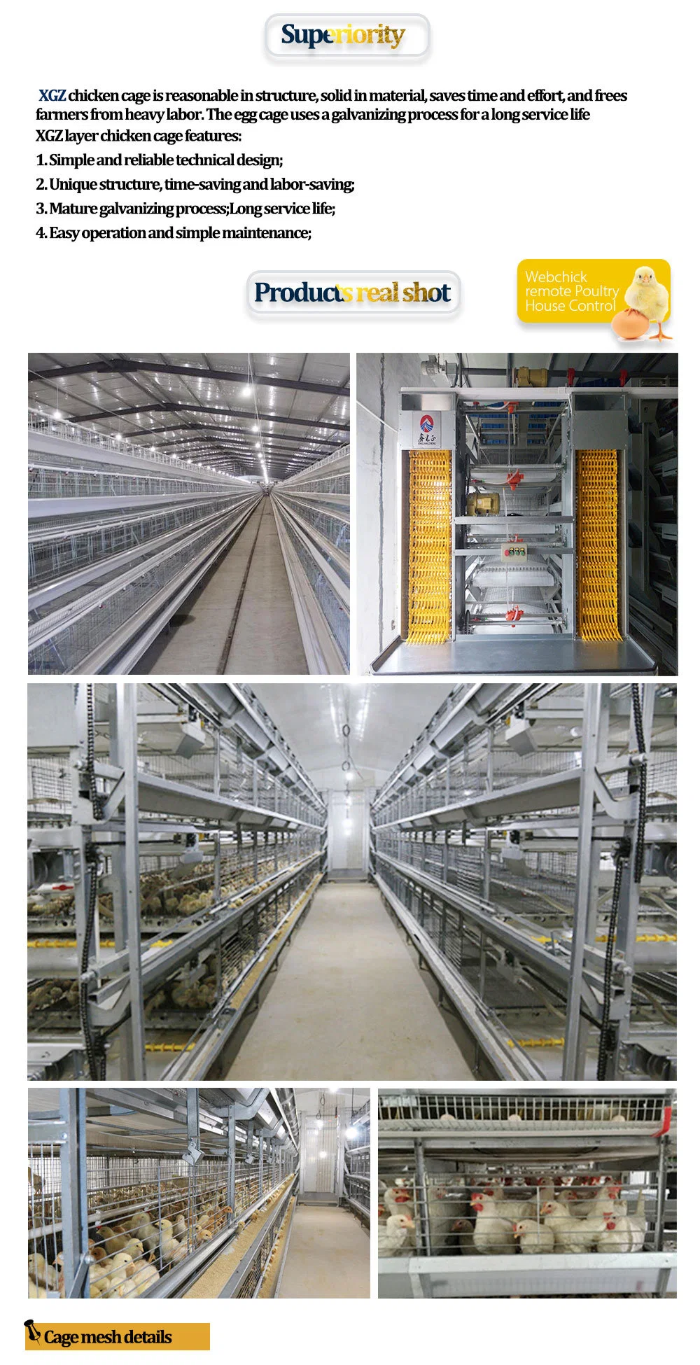 Couche d'œufs en acier de la cage de poulet OEM 2