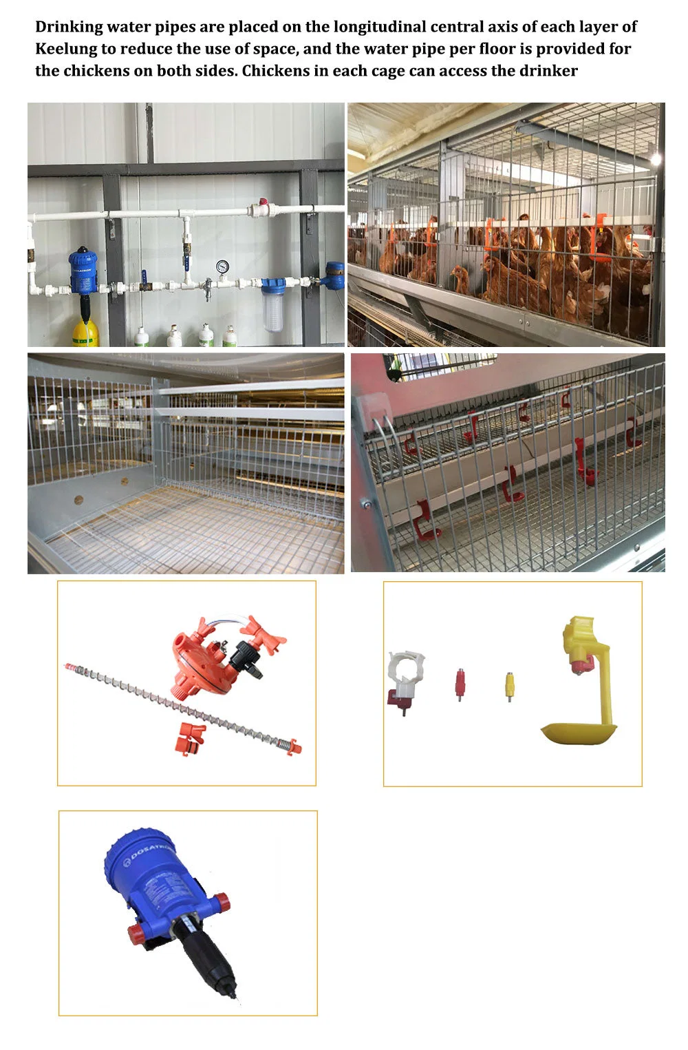 Couche d'œufs en acier de la cage de poulet OEM 4