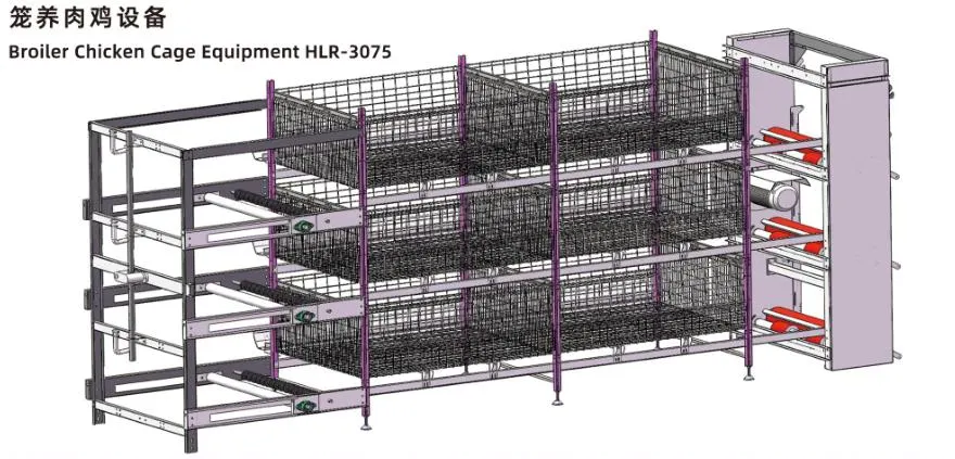 Système ISO de cage de poulet pour poulets de chair Cage de poulet personnalisée pour l'élevage de volailles 2