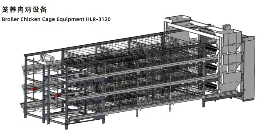 Système ISO de cage de poulet pour poulets de chair Cage de poulet personnalisée pour l'élevage de volailles 1