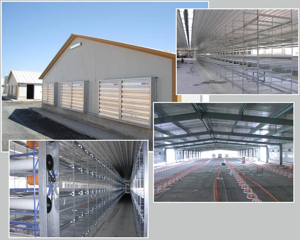 SGS Ferme de bétail maison préfabriquée cadre automatique en acier poulailler 2