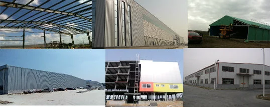 SGS Ferme de bétail maison préfabriquée cadre automatique en acier poulailler 5