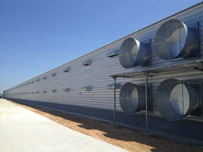SGS Ferme de bétail maison préfabriquée cadre automatique en acier poulailler 4
