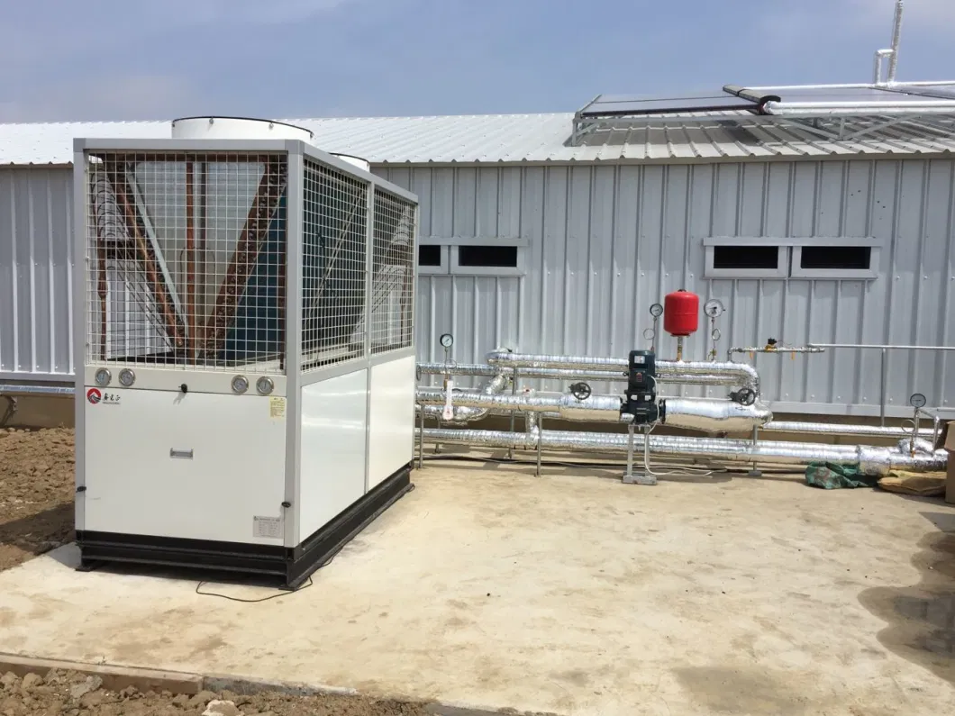 CE Maison de ferme d'élevage Structure en acier Maison de poulet et équipement pour poulet 3